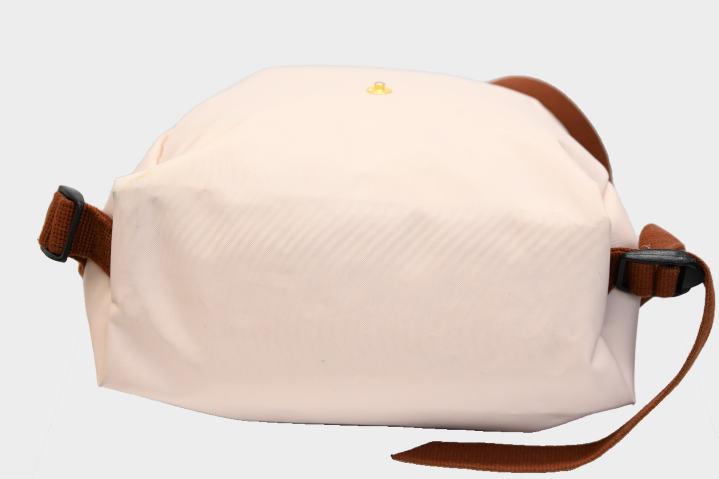 Longchamp Le Pliage M Backpack