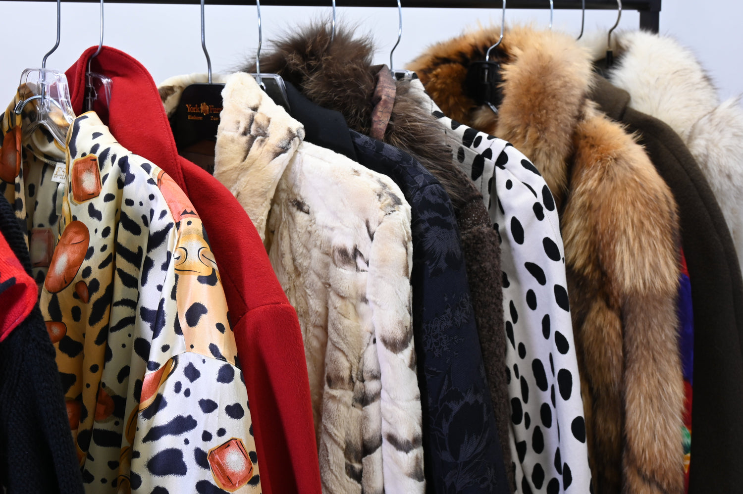 The thrill of the hunt starts here