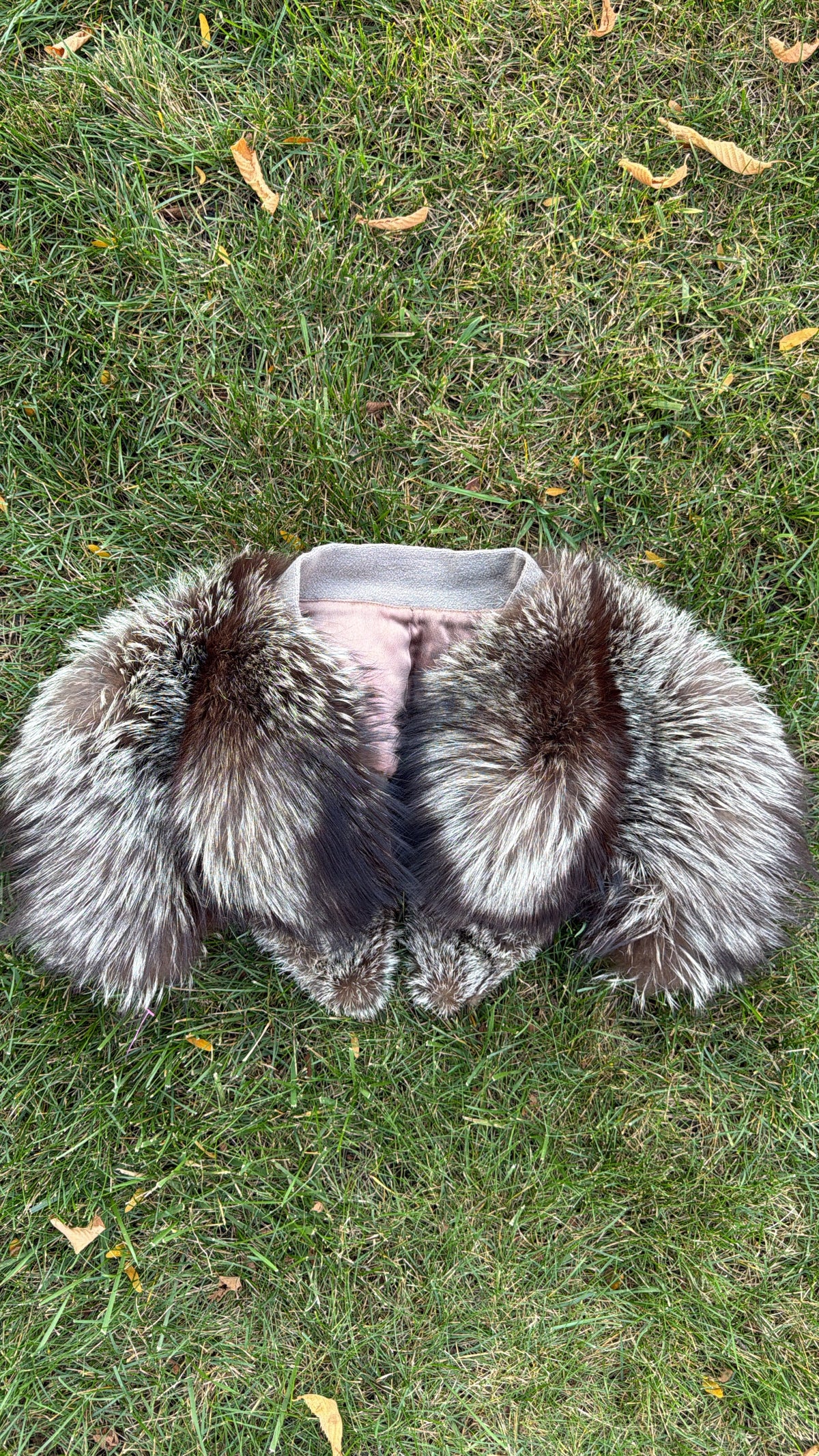 Vintage Silver Fox Shawl Collar