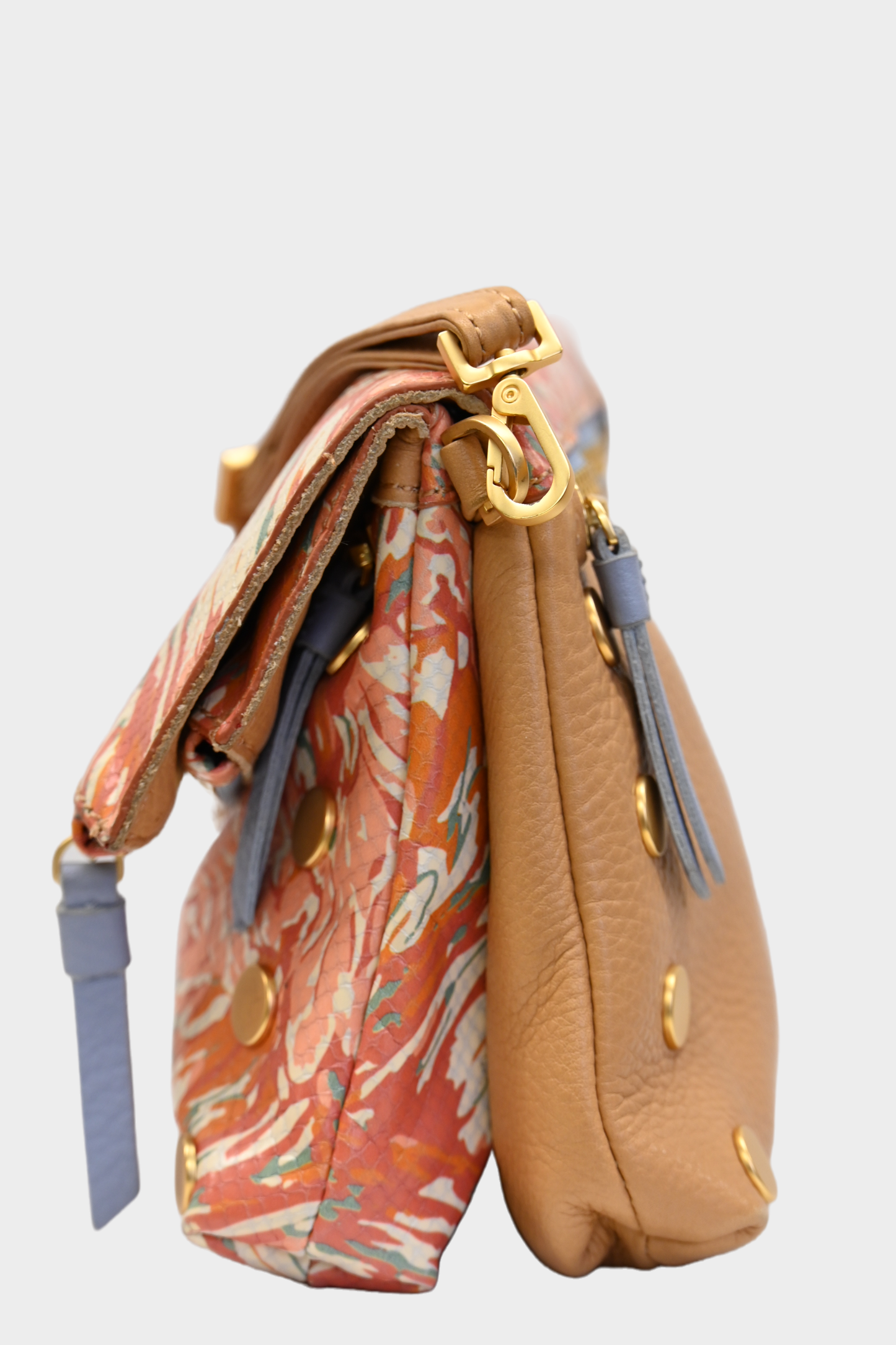 Hammitt Dillon Crossbody Garden Party Print
