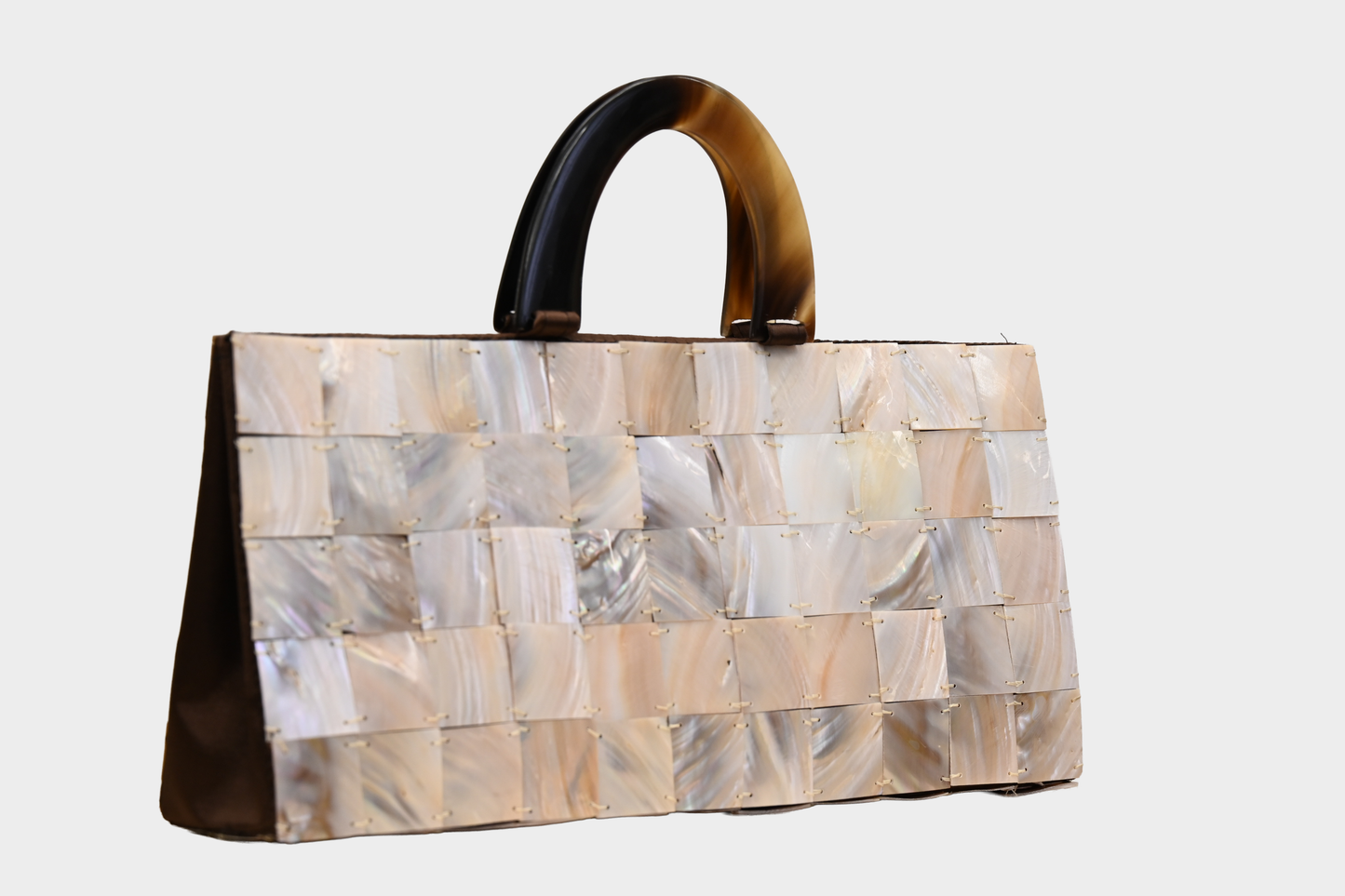 Vintage Mother of Pearl Shell Handbag with Lucite Handle