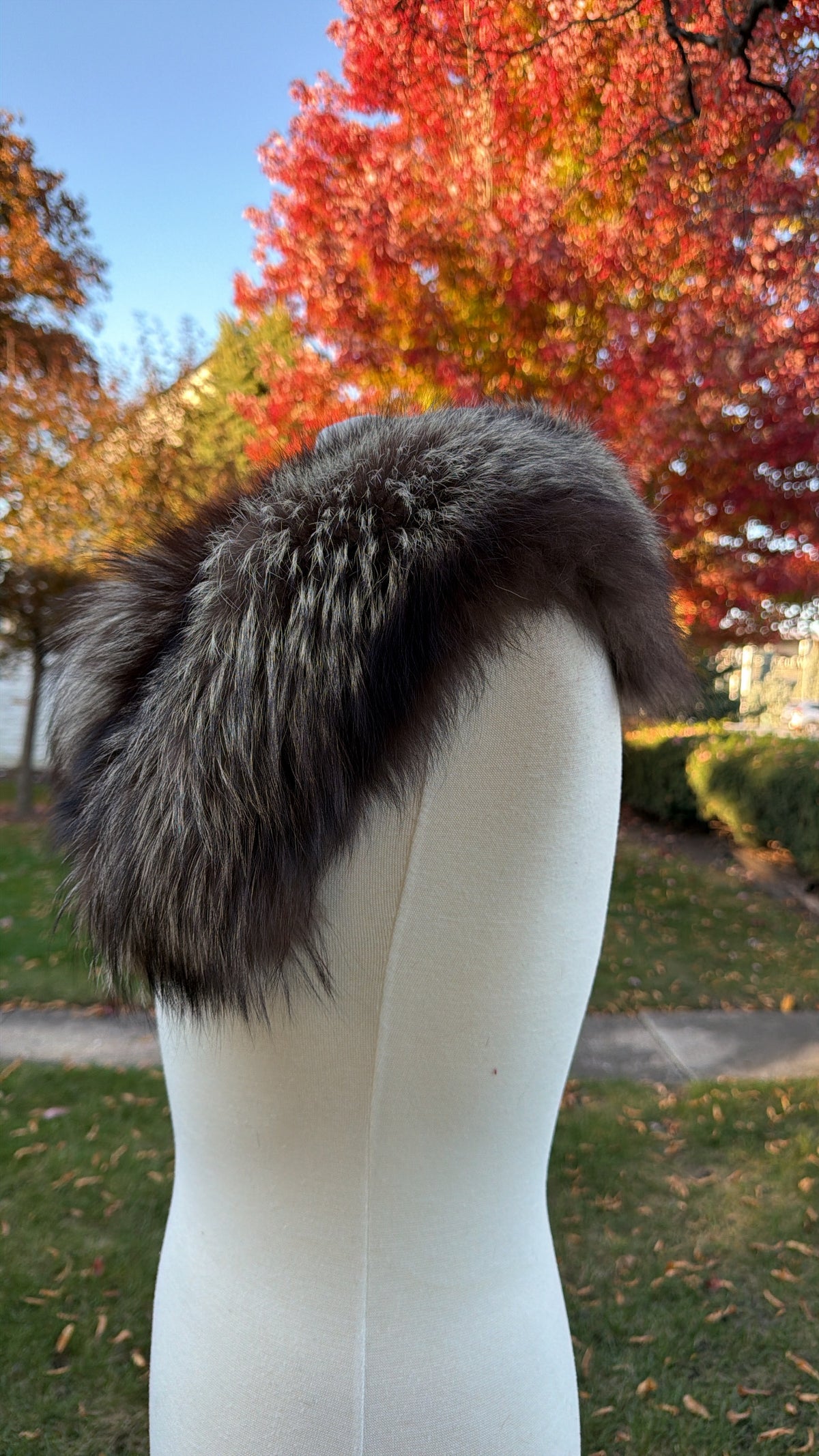 Vintage Silver Fox Shawl Collar