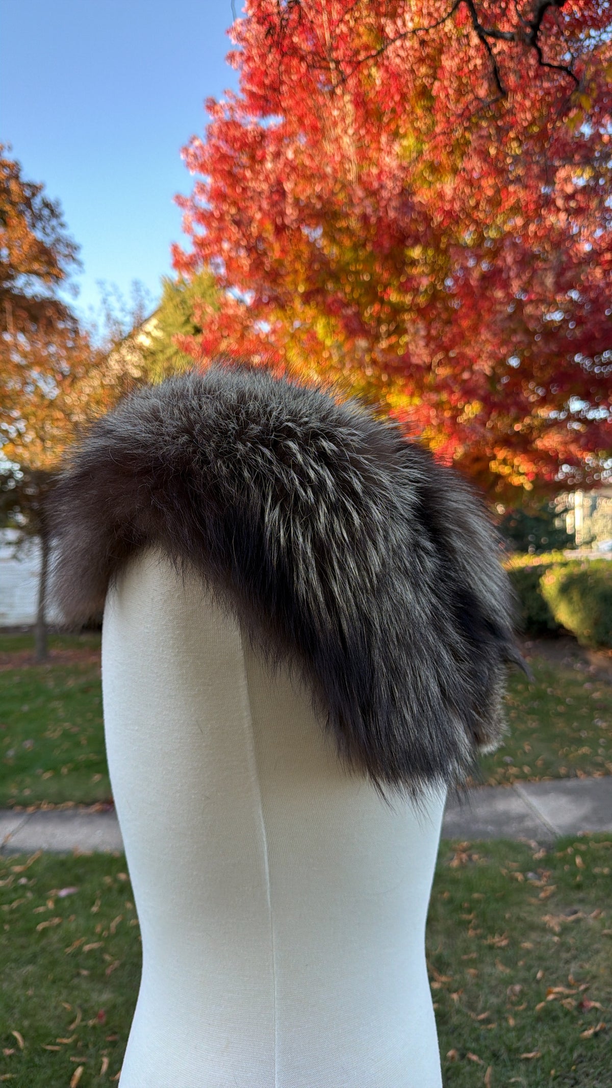 Vintage Silver Fox Shawl Collar