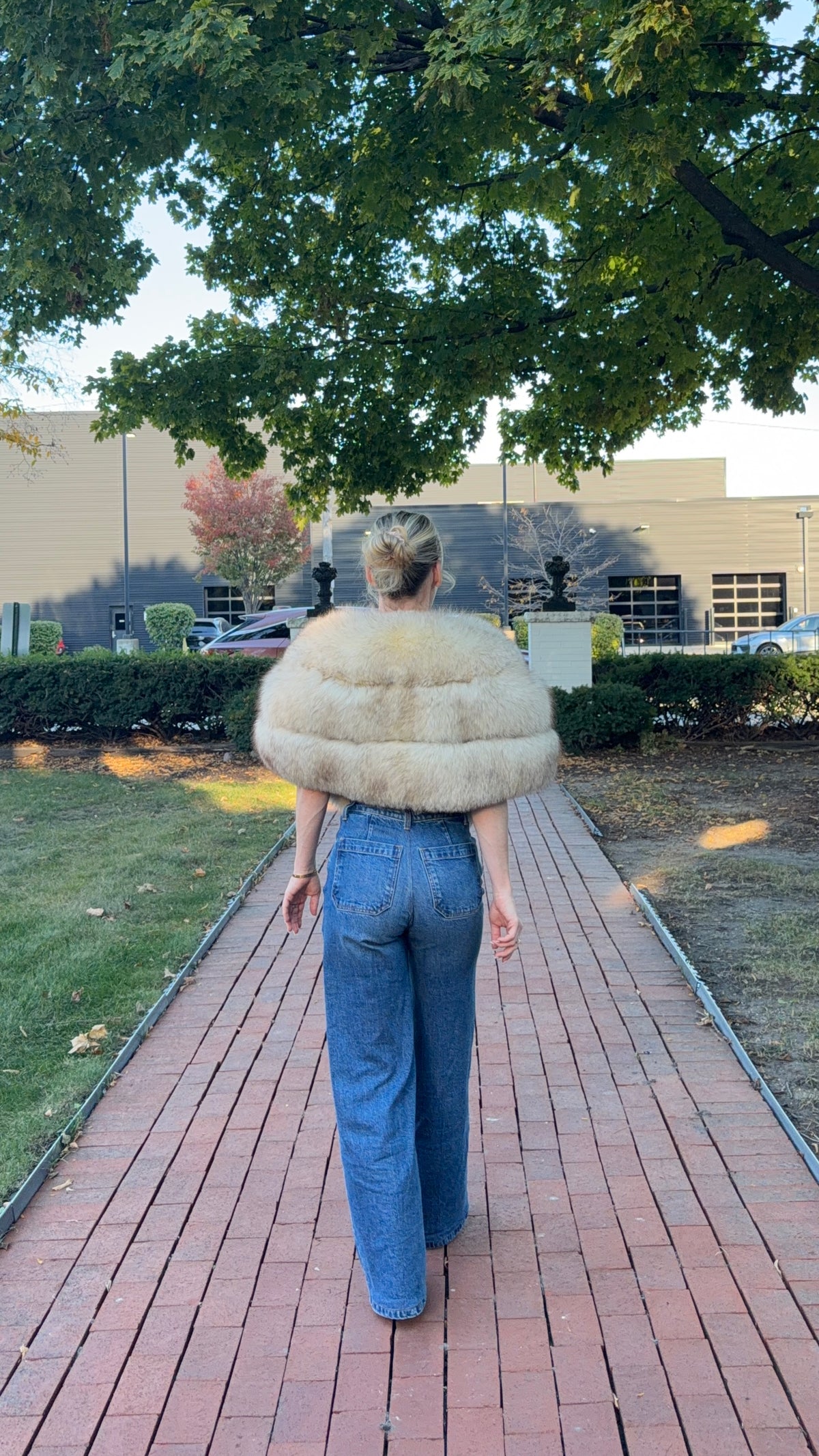 H. Himmel & Sons Saga Norwegian Blue Fox Fur Stole