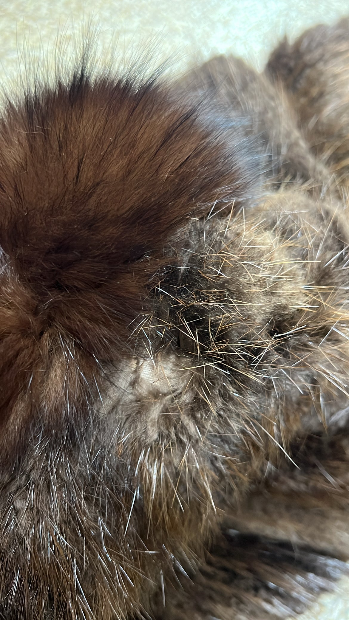 Beaver and Fox Fur Coat