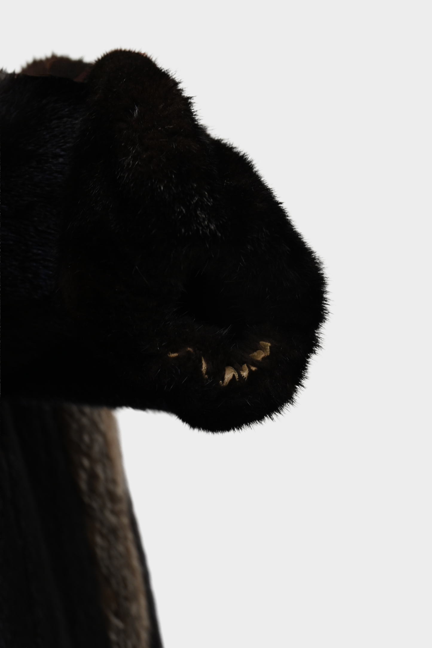 Mink Coat with Silver Fox Tuxedo Trim