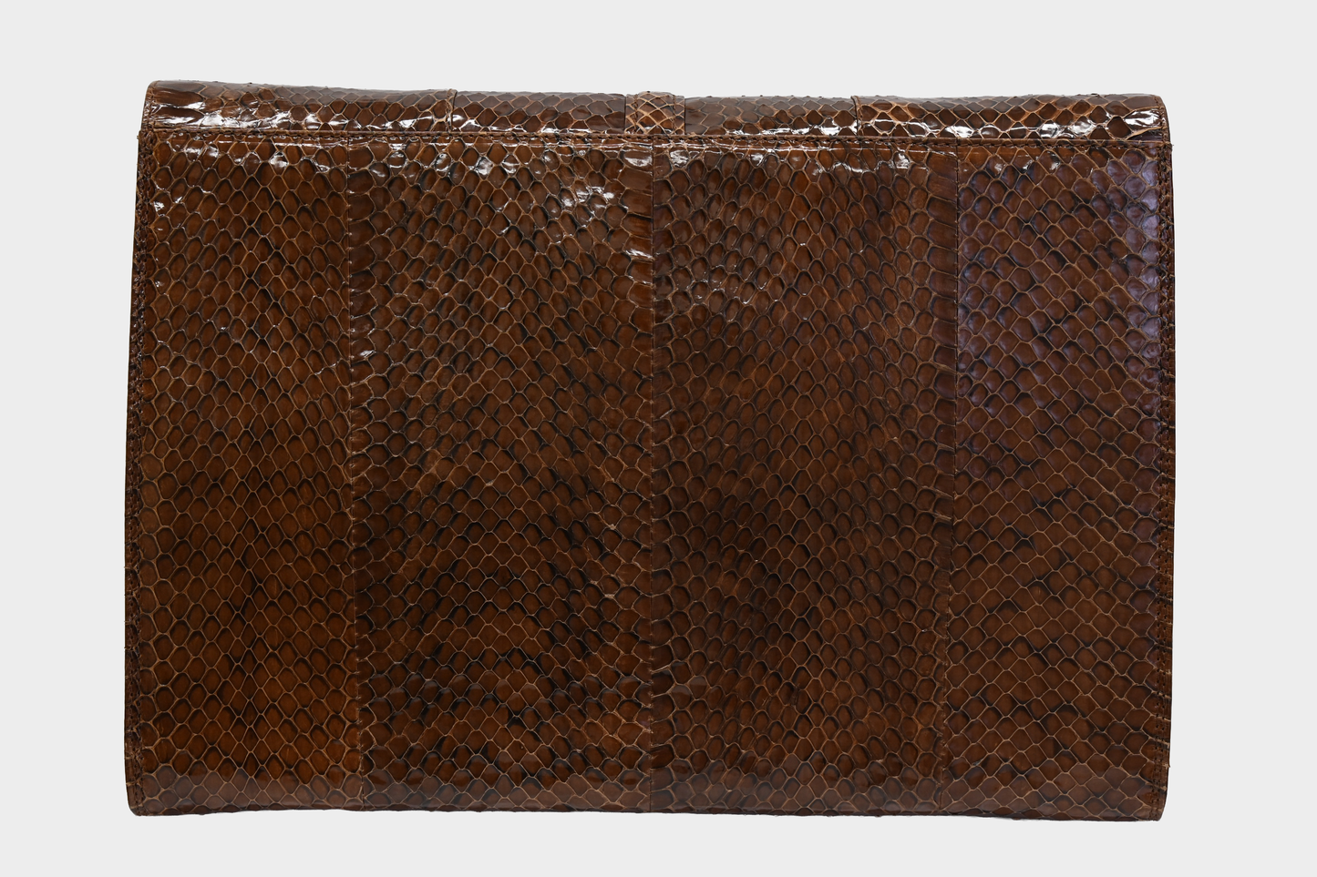 Vintage Genuine Snakeskin Clutch Crossbody