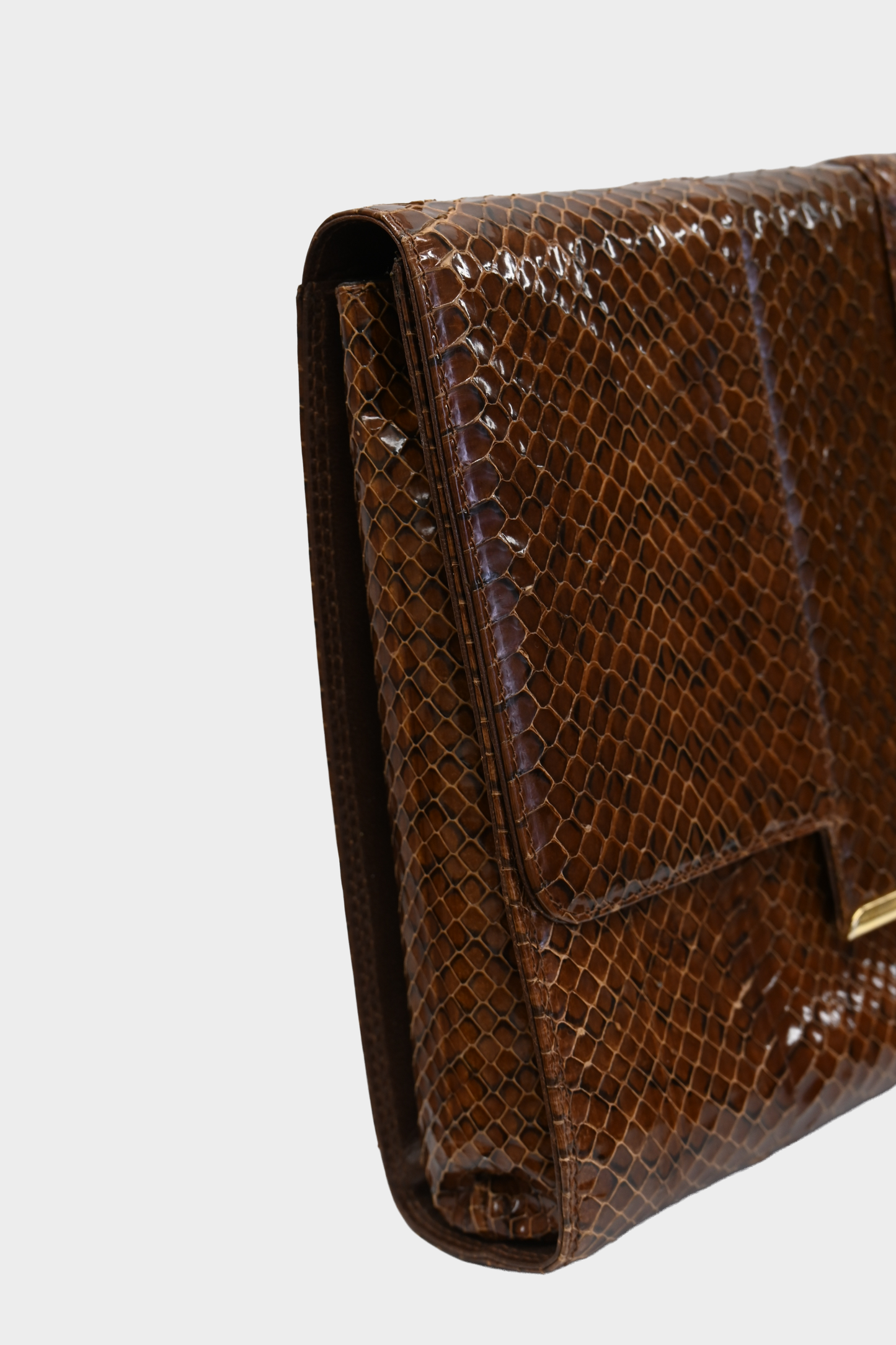 Vintage Genuine Snakeskin Clutch Crossbody